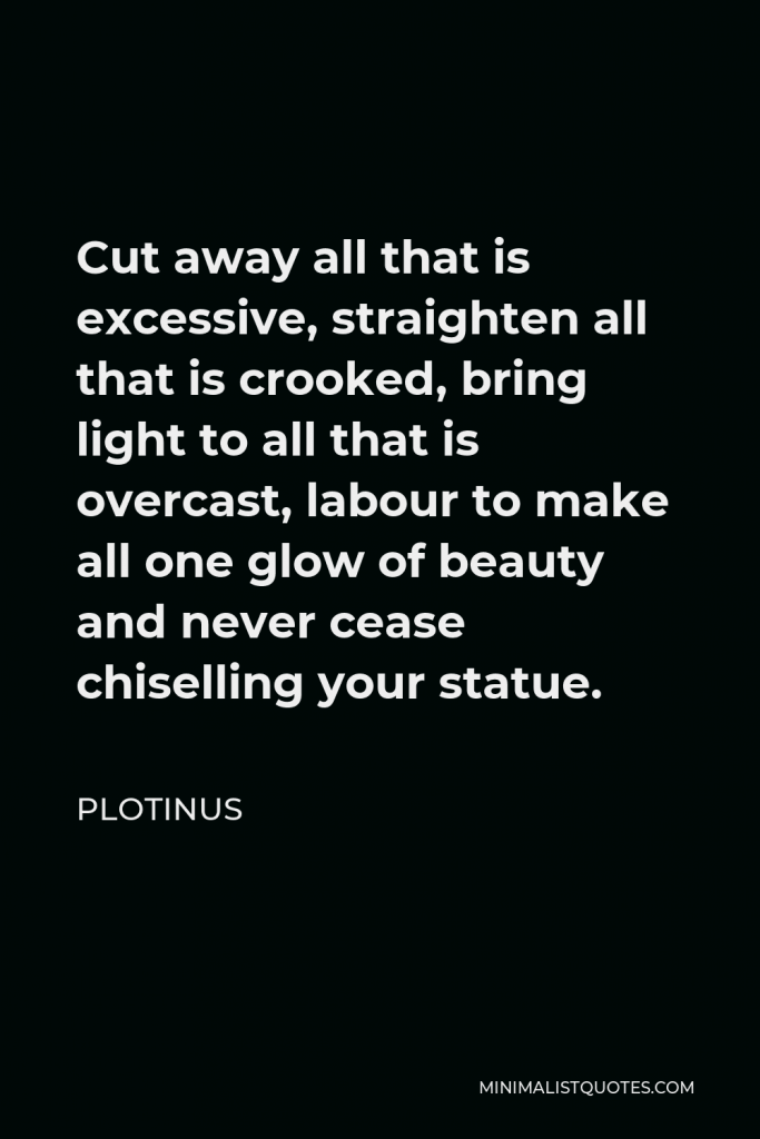 Plotinus Quote - Cut away all that is excessive, straighten all that is crooked, bring light to all that is overcast, labour to make all one glow of beauty and never cease chiselling your statue.