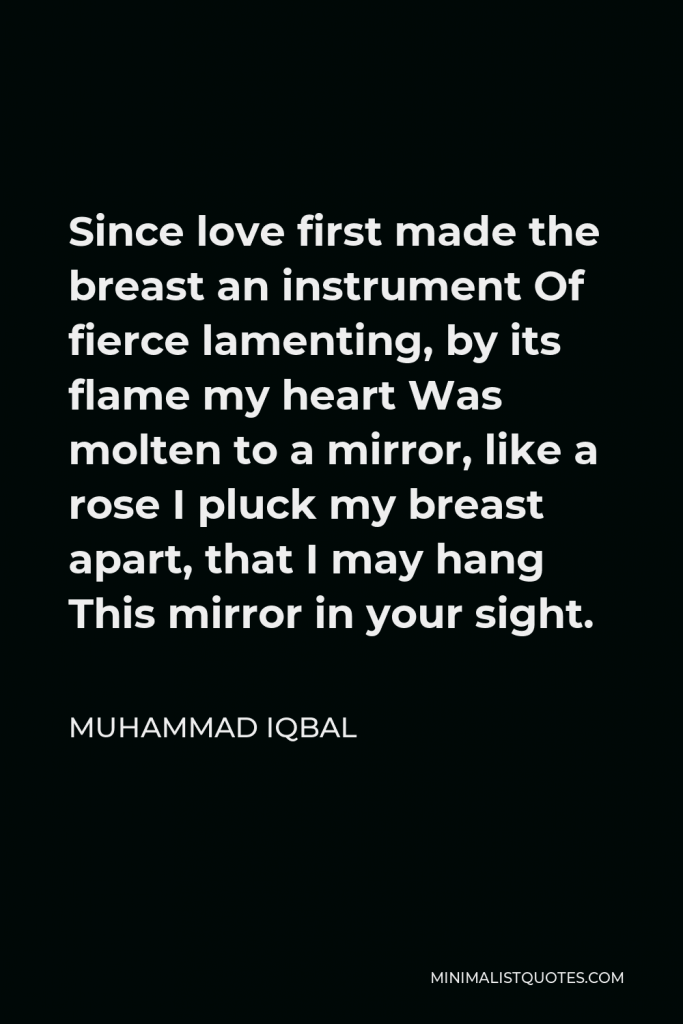 Muhammad Iqbal Quote - Since love first made the breast an instrument Of fierce lamenting, by its flame my heart Was molten to a mirror, like a rose I pluck my breast apart, that I may hang This mirror in your sight.