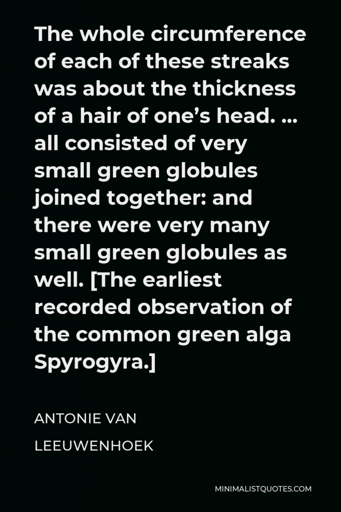 Antonie van Leeuwenhoek Quote - The whole circumference of each of these streaks was about the thickness of a hair of one’s head. … all consisted of very small green globules joined together: and there were very many small green globules as well. [The earliest recorded observation of the common green alga Spyrogyra.]