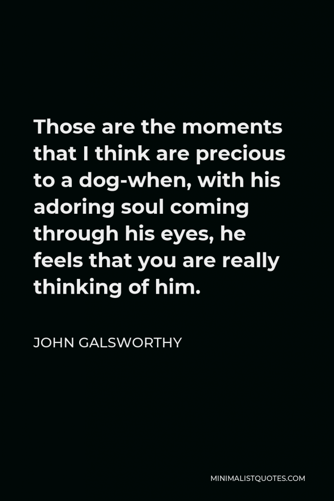 John Galsworthy Quote - Those are the moments that I think are precious to a dog-when, with his adoring soul coming through his eyes, he feels that you are really thinking of him.