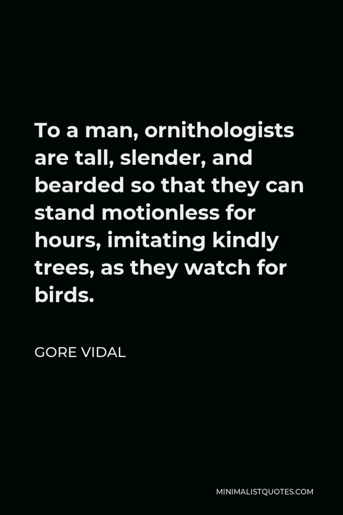 Gore Vidal Quote - To a man, ornithologists are tall, slender, and bearded so that they can stand motionless for hours, imitating kindly trees, as they watch for birds.
