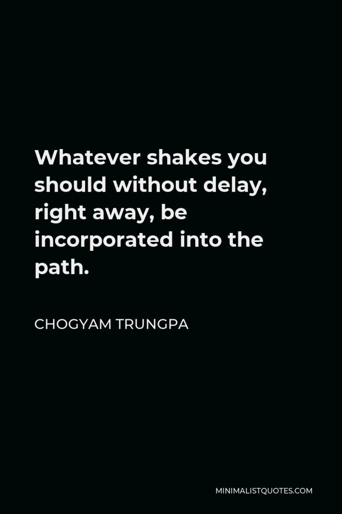 Chogyam Trungpa Quote - Whatever shakes you should without delay, right away, be incorporated into the path.