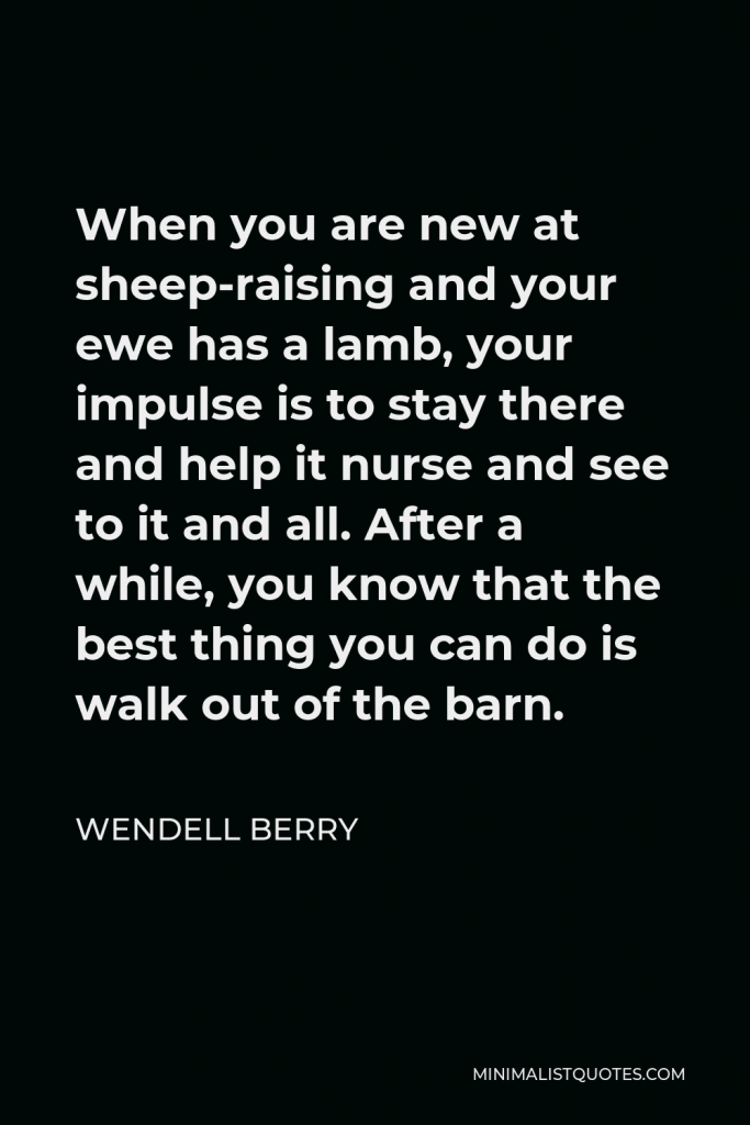 Wendell Berry Quote - When you are new at sheep-raising and your ewe has a lamb, your impulse is to stay there and help it nurse and see to it and all. After a while, you know that the best thing you can do is walk out of the barn.