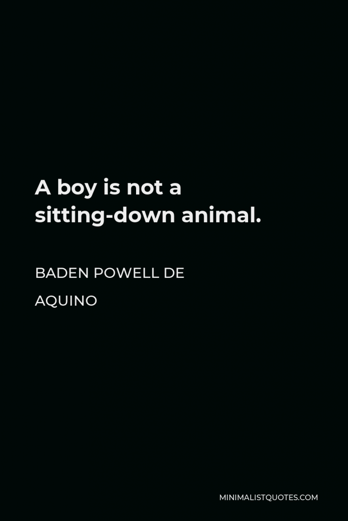 Baden Powell de Aquino Quote - A boy is not a sitting-down animal.