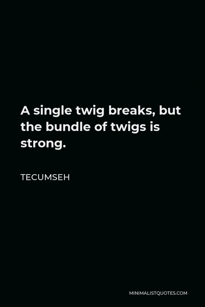 Tecumseh Quote - A single twig breaks, but the bundle of twigs is strong.