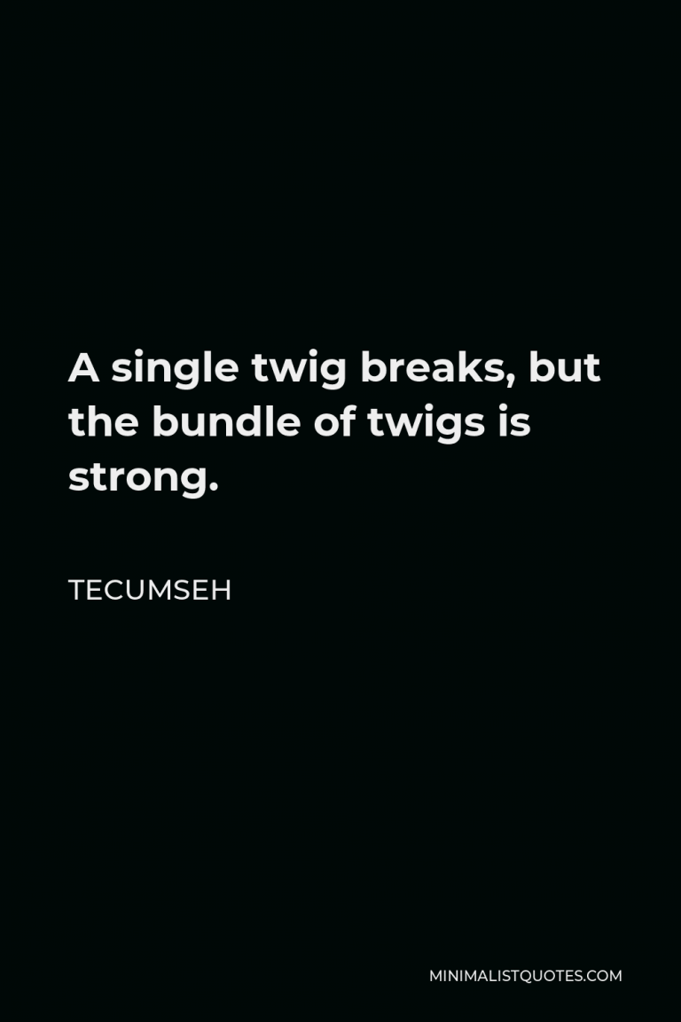 Twig quotes minimalist quotes