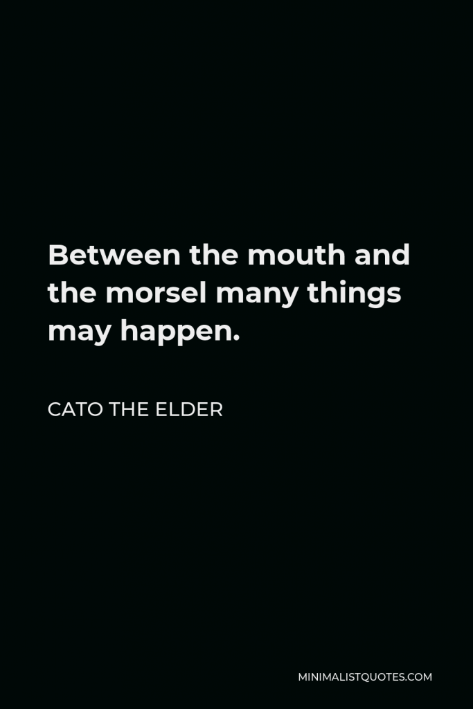 Cato the Elder Quote - Between the mouth and the morsel many things may happen.