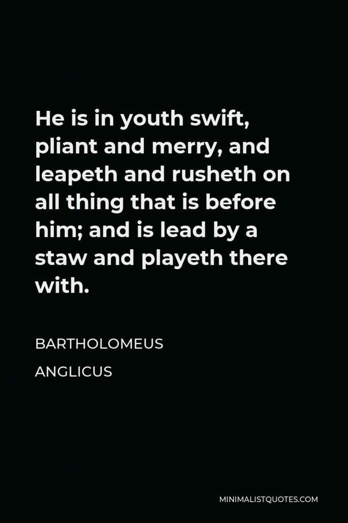 Bartholomeus Anglicus Quote - He is in youth swift, pliant and merry, and leapeth and rusheth on all thing that is before him; and is lead by a staw and playeth there with.