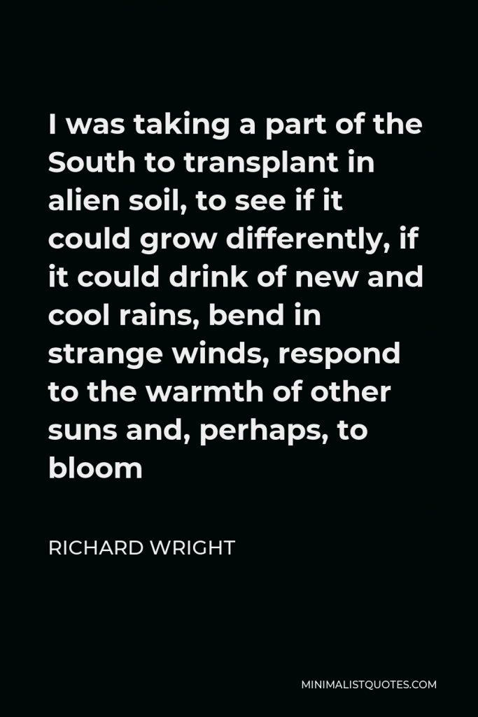 Richard Wright Quote - I was taking a part of the South to transplant in alien soil, to see if it could grow differently, if it could drink of new and cool rains, bend in strange winds, respond to the warmth of other suns and, perhaps, to bloom