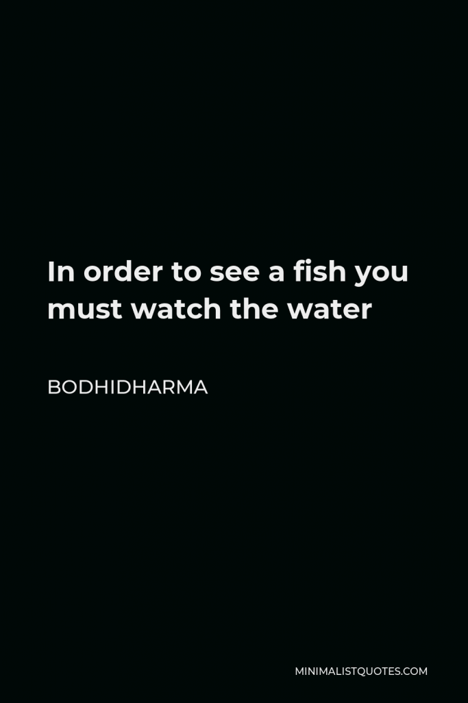 Bodhidharma Quote - In order to see a fish you must watch the water