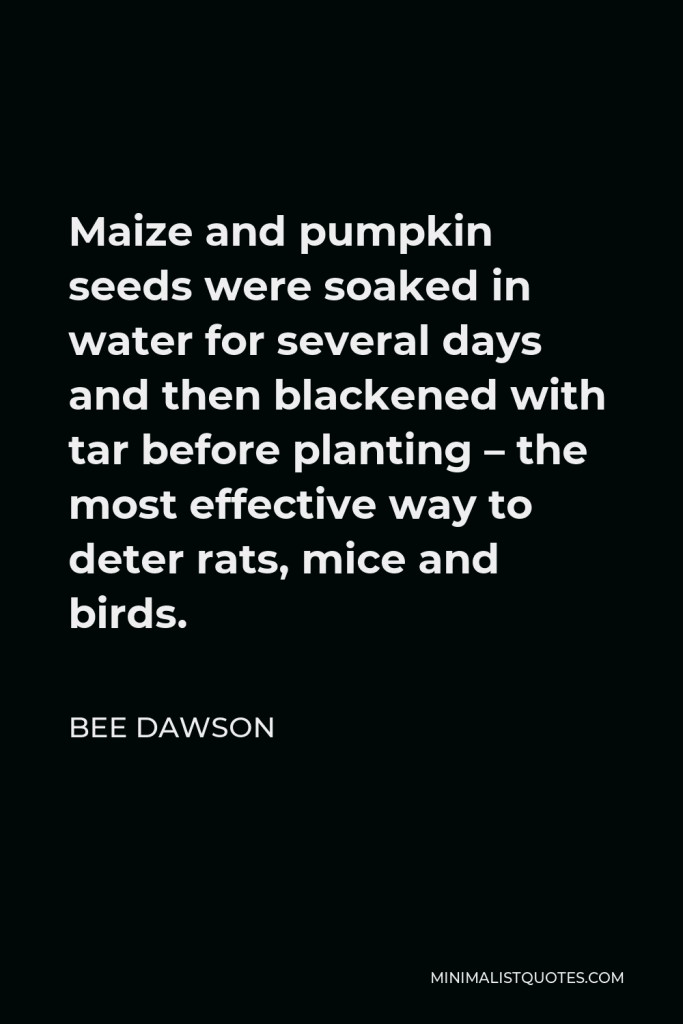 Bee Dawson Quote - Maize and pumpkin seeds were soaked in water for several days and then blackened with tar before planting – the most effective way to deter rats, mice and birds.