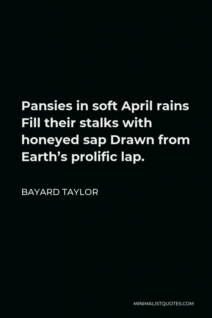 Bayard Taylor Quote - Pansies in soft April rains Fill their stalks with honeyed sap Drawn from Earth’s prolific lap.