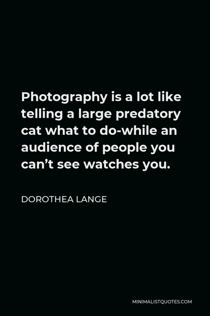 Dorothea Lange Quote - Photography is a lot like telling a large predatory cat what to do-while an audience of people you can’t see watches you.