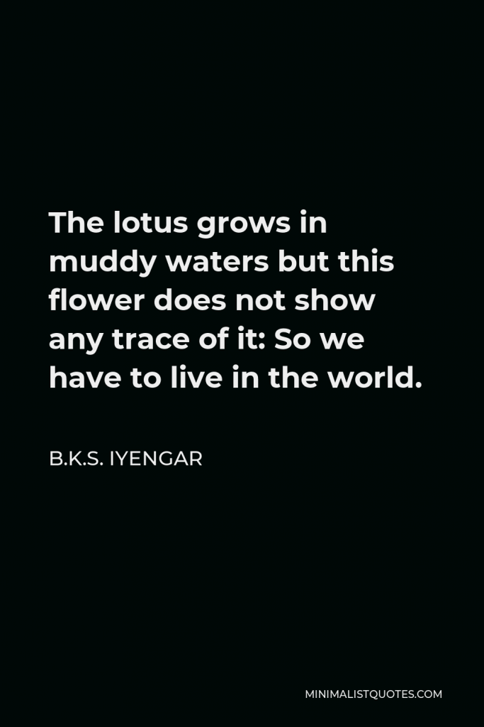 B.K.S. Iyengar Quote - The lotus grows in muddy waters but this flower does not show any trace of it: So we have to live in the world.