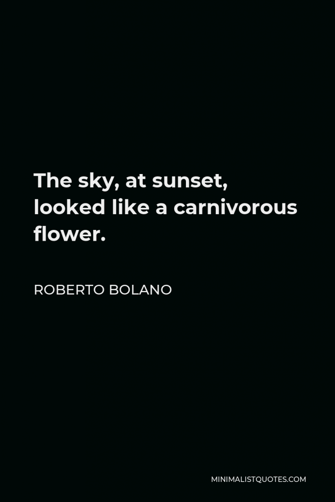 Roberto Bolano Quote - The sky, at sunset, looked like a carnivorous flower.