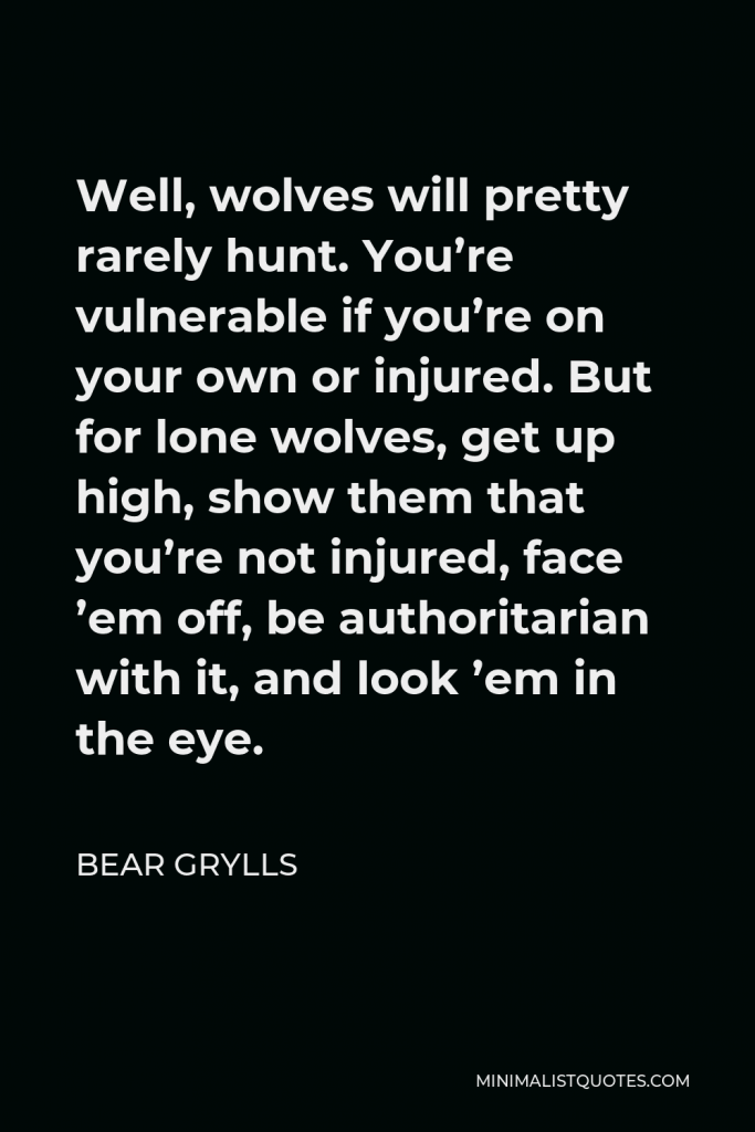 Bear Grylls Quote - Well, wolves will pretty rarely hunt. You’re vulnerable if you’re on your own or injured. But for lone wolves, get up high, show them that you’re not injured, face ’em off, be authoritarian with it, and look ’em in the eye.