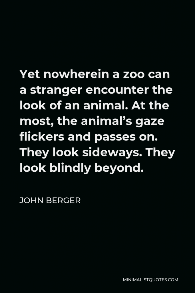 John Berger Quote - Yet nowherein a zoo can a stranger encounter the look of an animal. At the most, the animal’s gaze flickers and passes on. They look sideways. They look blindly beyond.