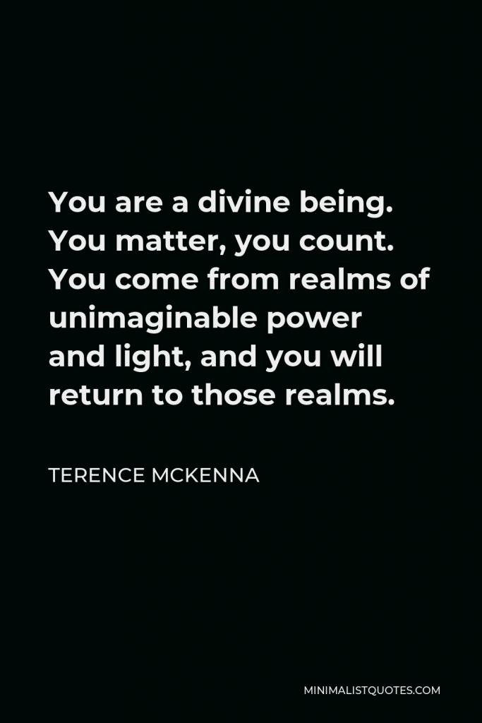 Terence McKenna Quote - You are a divine being. You matter, you count. You come from realms of unimaginable power and light, and you will return to those realms.