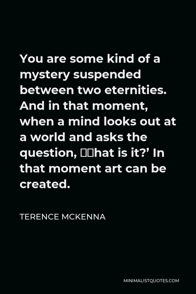 Terence McKenna Quote - You are some kind of a mystery suspended between two eternities. And in that moment, when a mind looks out at a world and asks the question, ‘What is it?’ In that moment art can be created.