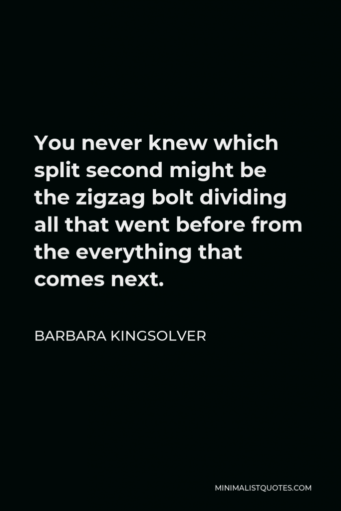 Barbara Kingsolver Quote - You never knew which split second might be the zigzag bolt dividing all that went before from the everything that comes next.