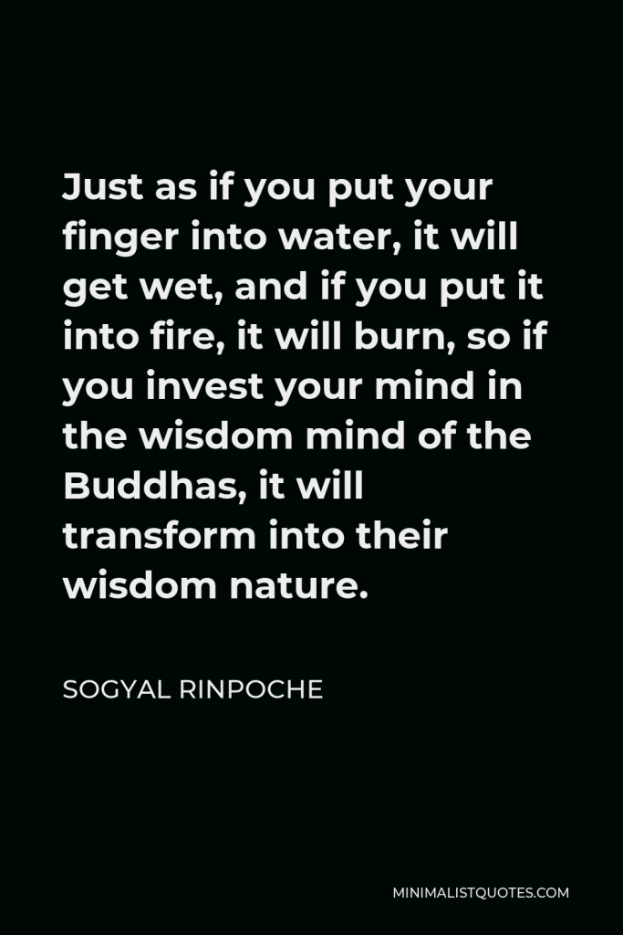 Sogyal Rinpoche Quote - Just as if you put your finger into water, it will get wet, and if you put it into fire, it will burn, so if you invest your mind in the wisdom mind of the Buddhas, it will transform into their wisdom nature.