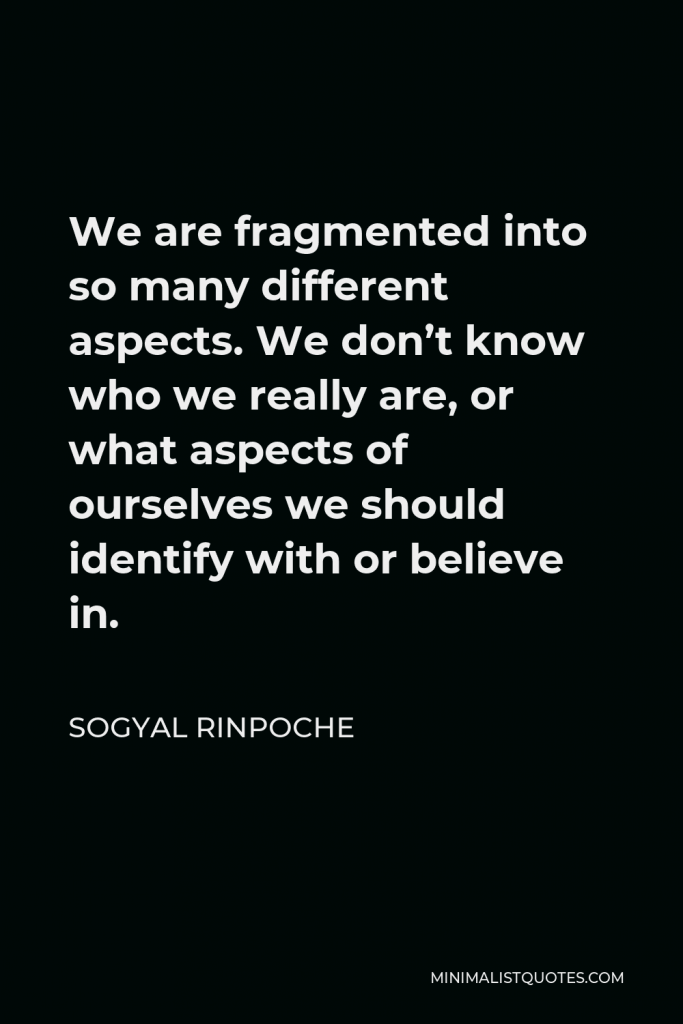 Sogyal Rinpoche Quote - We are fragmented into so many different aspects. We don’t know who we really are, or what aspects of ourselves we should identify with or believe in.