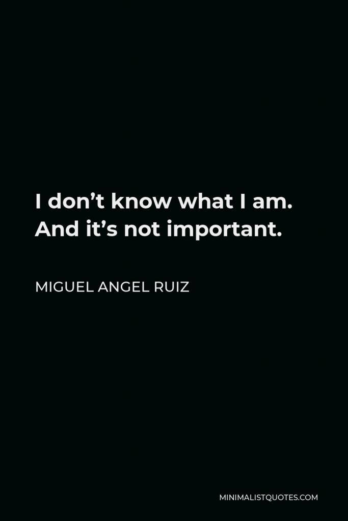Miguel Angel Ruiz Quote - I don’t know what I am. And it’s not important.