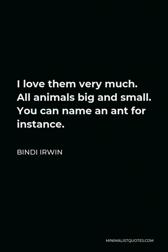 Bindi Irwin Quote - I love them very much. All animals big and small. You can name an ant for instance.