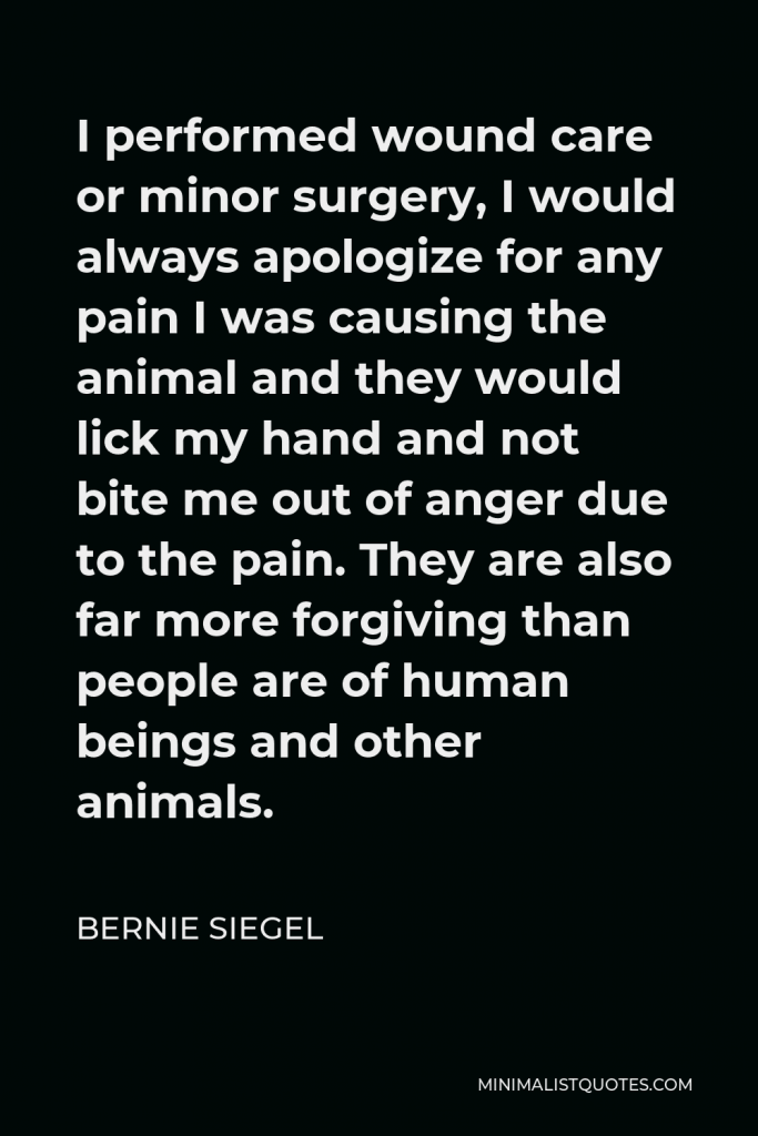 Bernie Siegel Quote - I performed wound care or minor surgery, I would always apologize for any pain I was causing the animal and they would lick my hand and not bite me out of anger due to the pain. They are also far more forgiving than people are of human beings and other animals.