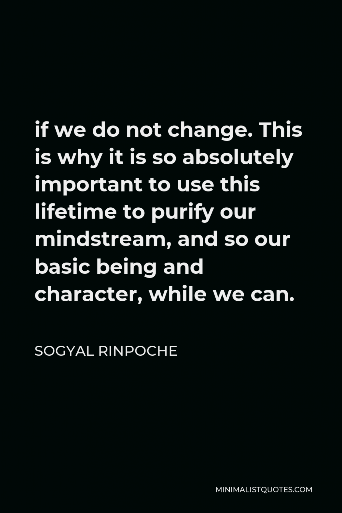 Sogyal Rinpoche Quote - if we do not change. This is why it is so absolutely important to use this lifetime to purify our mindstream, and so our basic being and character, while we can.