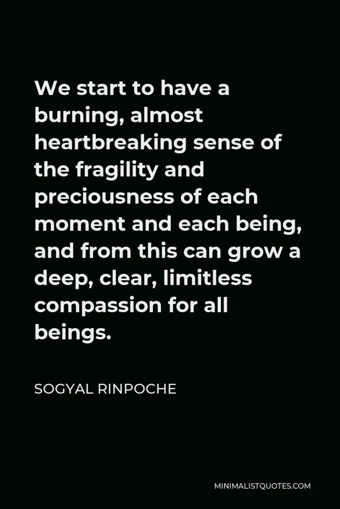 Sogyal Rinpoche Quote - We start to have a burning, almost heartbreaking sense of the fragility and preciousness of each moment and each being, and from this can grow a deep, clear, limitless compassion for all beings.