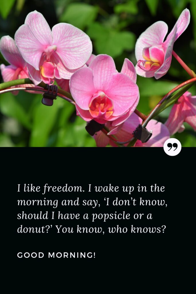 Good Morning Self Quote I like freedom. I wake up in the morning and say, ‘I don’t know, should I have a popsicle or a donut?’ You know, who knows? Good Morning!