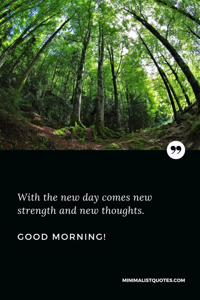 Good Morning Quotes With the new day comes new strength and new thoughts. Good Morning!
