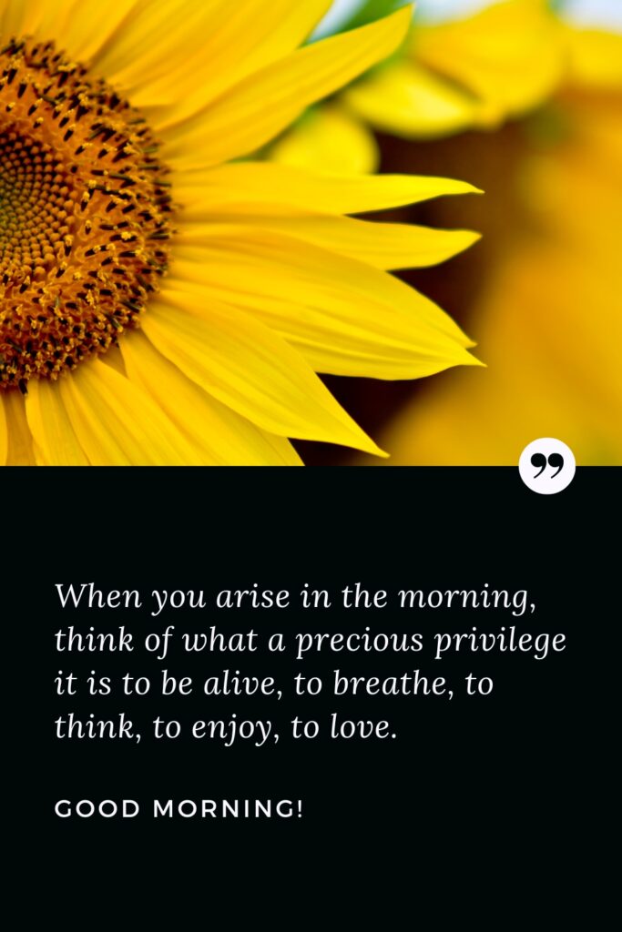 Good Morning Thanks Quote When you arise in the morning, think of what a precious privilege it is to be alive, to breathe, to think, to enjoy, to love. Good Morning!