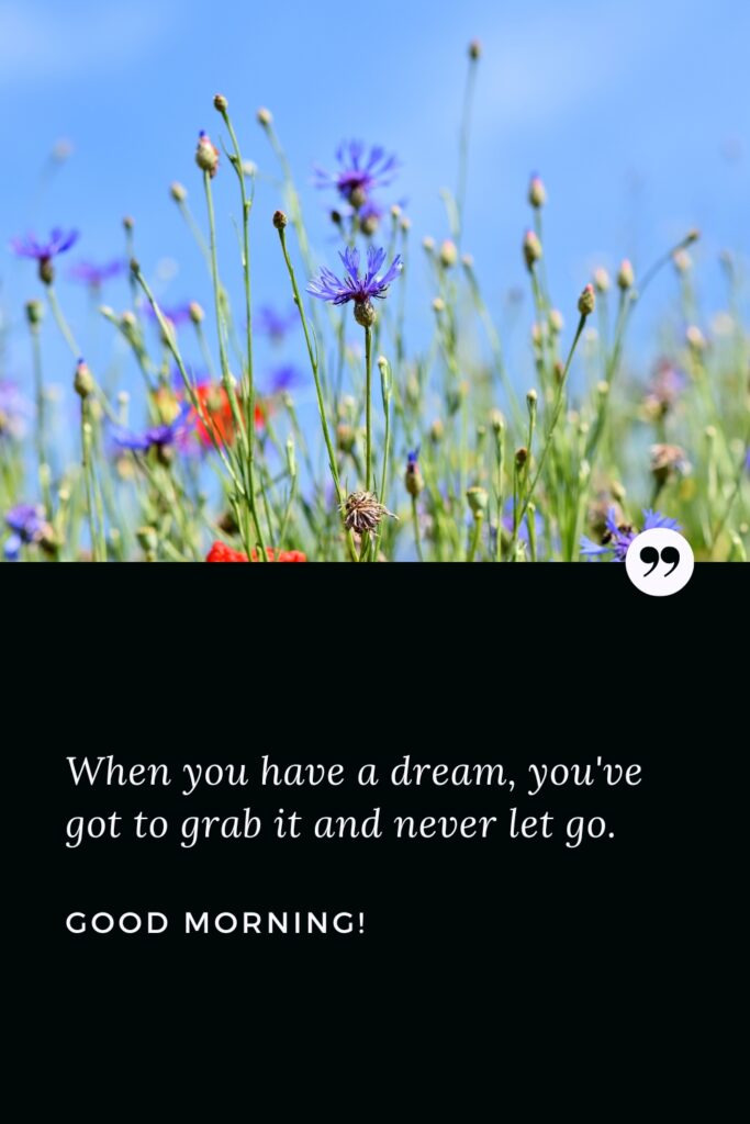 Good Morning Quote: When you have a dream, you've got to grab it and never let go. Good Morning!