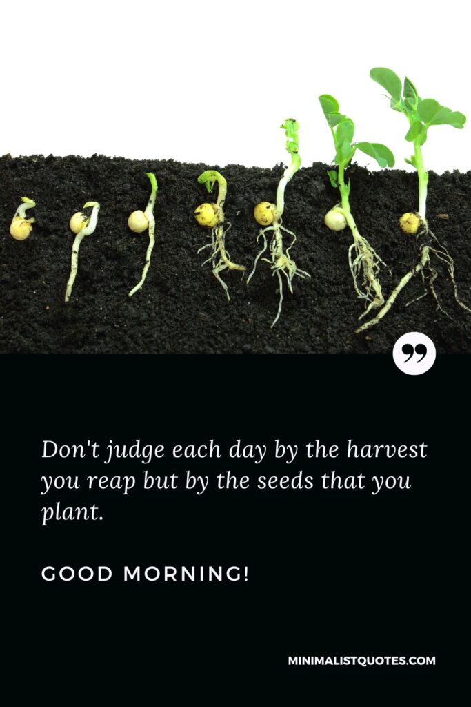 Good Morning Quotes Don't judge each day by the harvest you reap but by the seeds that you plant. Good Morning!