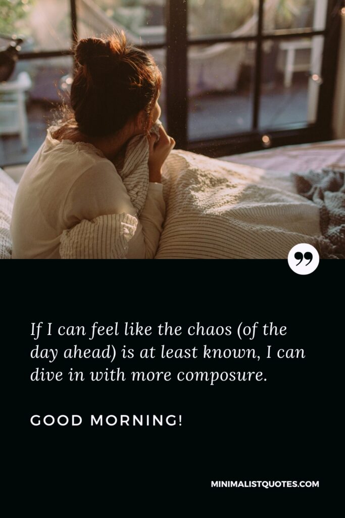 Good Morning Thought If I can feel like the chaos [of the day ahead] is at least known, I can dive in with more composure. Good Morning!