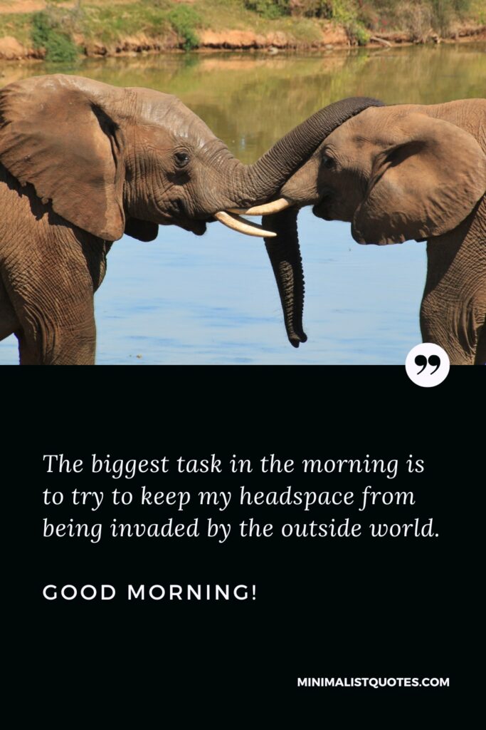 Good Morning Thought The biggest task in the morning is to try to keep my headspace from being invaded by the outside world. Good Morning!