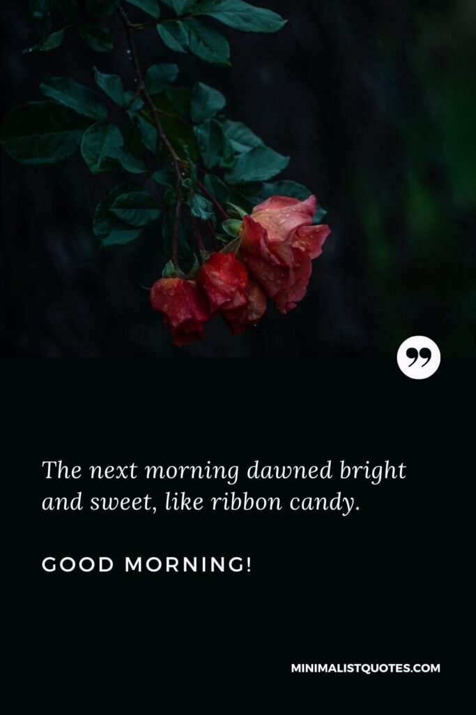 Good Morning Quotes The next morning dawned bright and sweet, like ribbon candy, Good Morning!