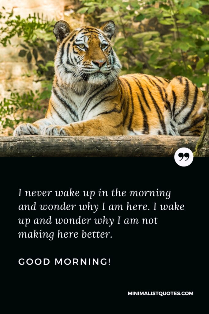 Good Morning Quotes I never wake up in the morning and wonder why I am here. I wake up and wonder why I am not making here better. Good Morning!