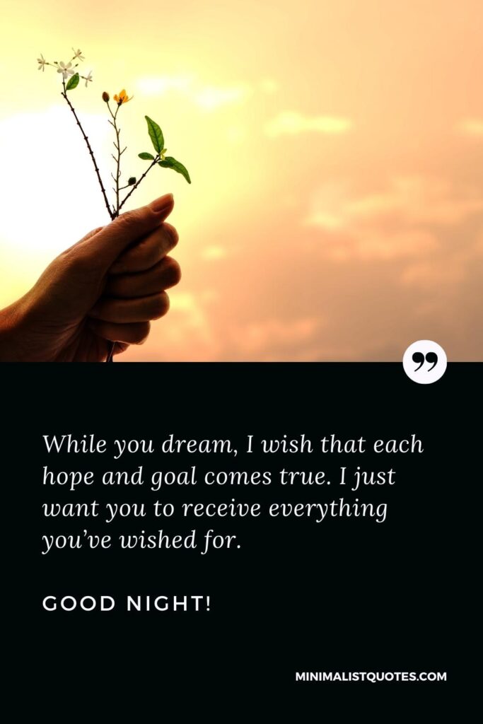 Good Night Thought: While you dream, I wish that each hope and goal comes true. I just want you to receive everything you’ve wished for. Good Night!