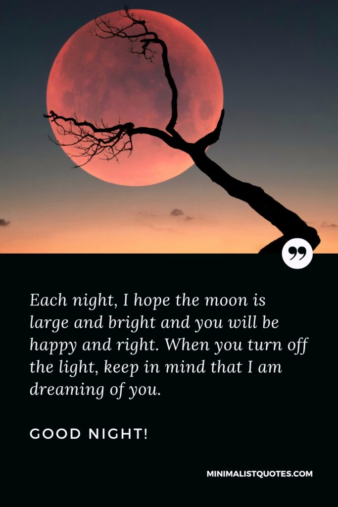 Good Night Thought Each night, I hope the moon is large and bright and you will be happy and right. When you turn off the light, keep in mind that I am dreaming of you, Good Night!