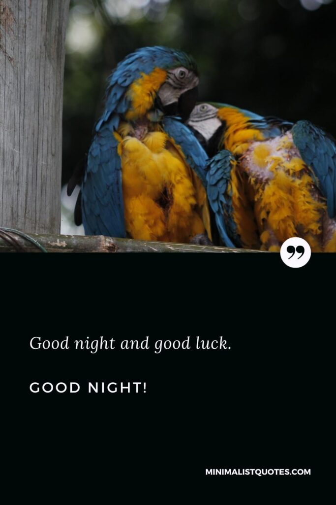 Good Night Wishes: Good night and good luck. Good Night!