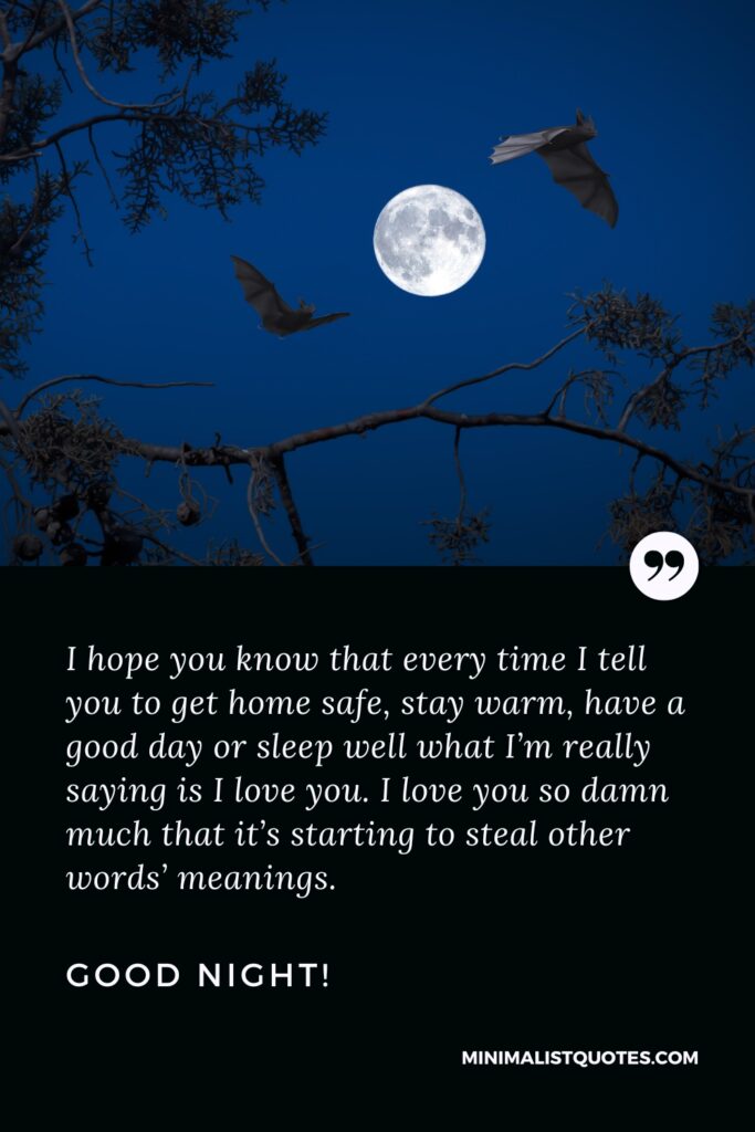 Good Night Quotes I hope you know that every time I tell you to get home safe, stay warm, have a good day or sleep well what I’m really saying is I love you. I love you so damn much that it’s starting to steal other words’ meanings. Good Night!