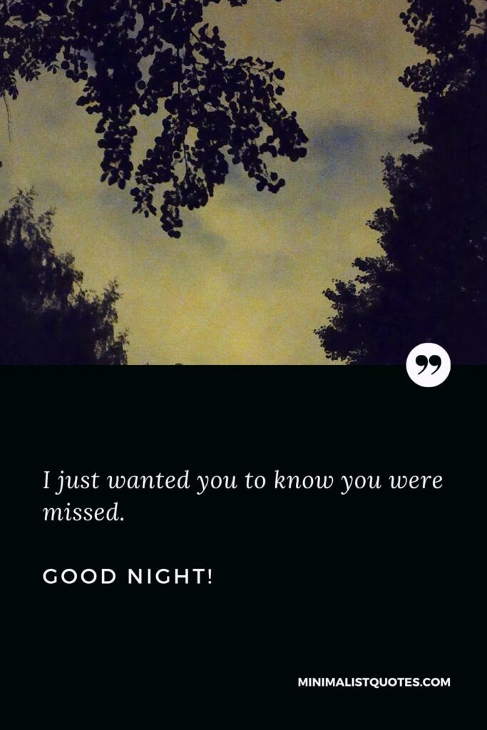 Good Night Wishes: I just wanted you to know you were missed. Good Night!