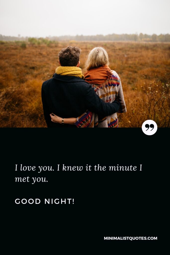 Good Night Message I love you. I knew it the minute I met you. Good Night!