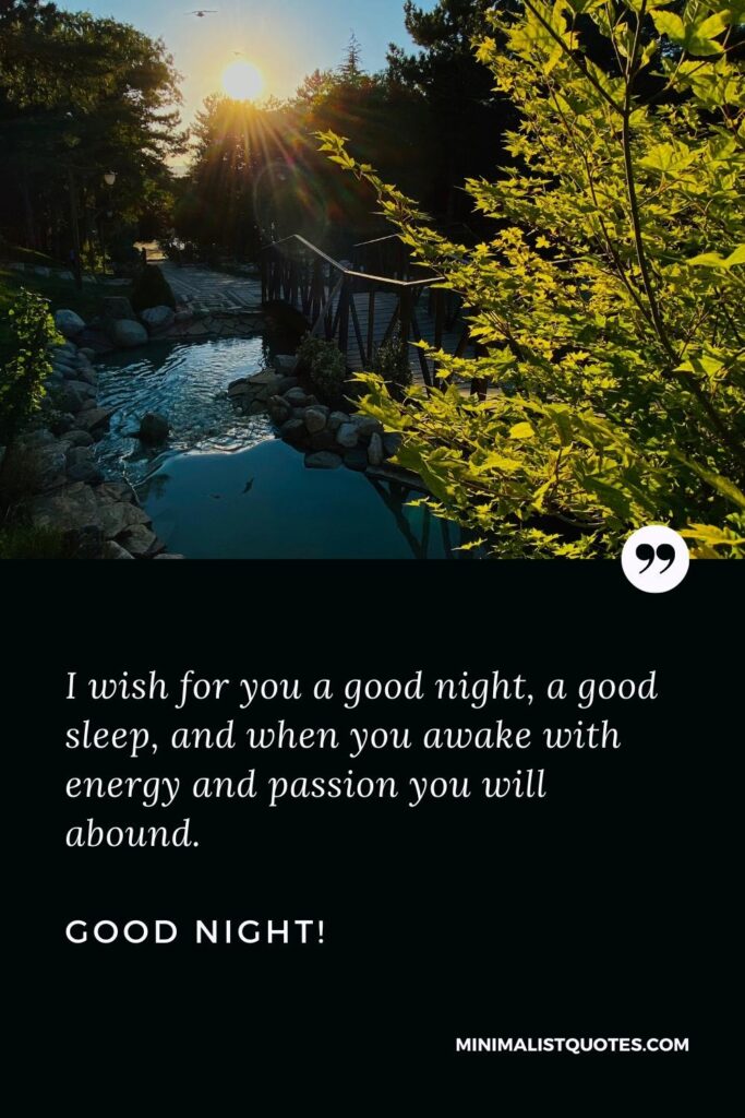 Good Night Wishes: I wish for you a good night, a good sleep, and when you awake with energy and passion you will abound. Good Night!