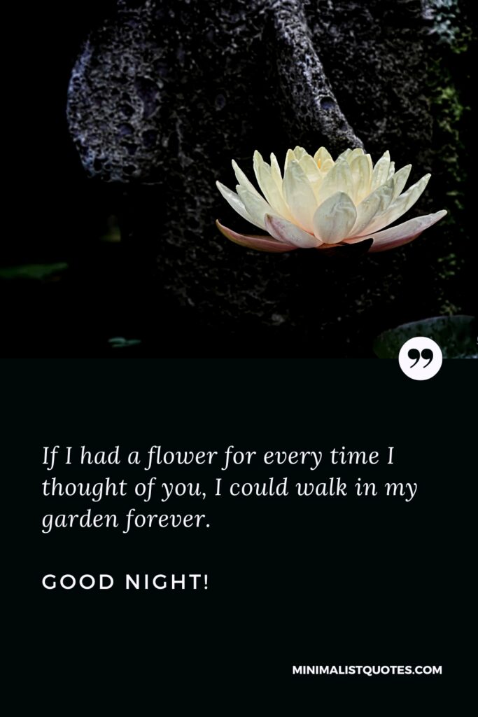 Good Night Message If I had a flower for every time I thought of you, I could walk in my garden forever. Good Night!