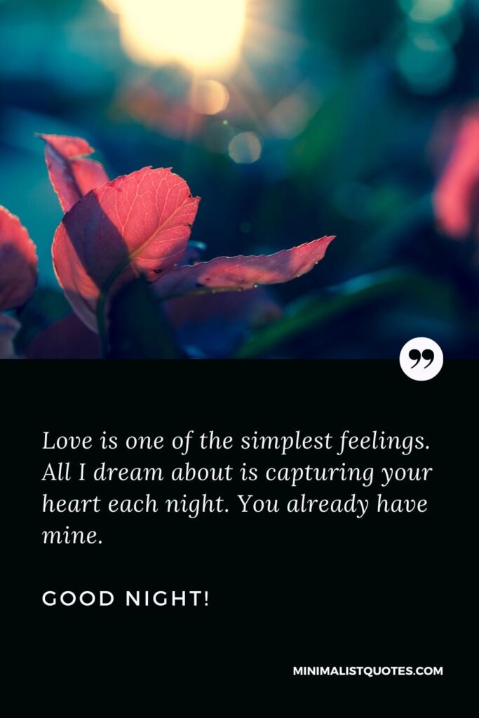 Good Night Quotes Love is one of the simplest feelings. All I dream about is capturing your heart each night. You already have mine. Good Night!