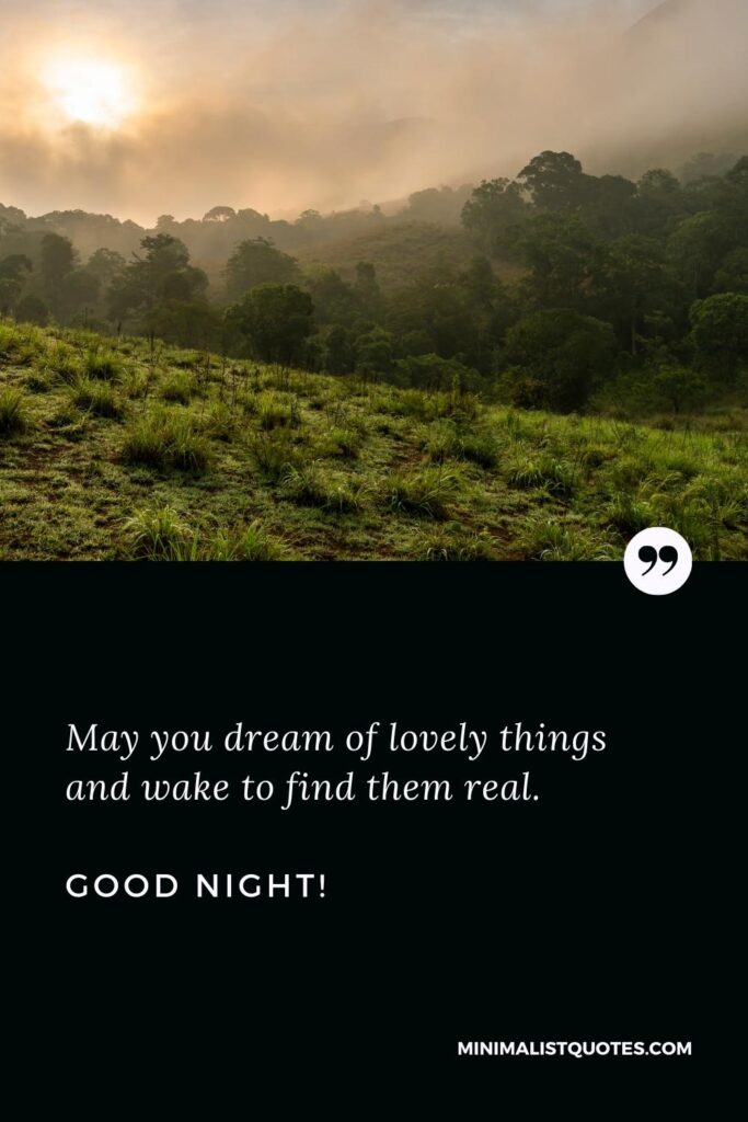 Good Night Thought: May you dream of lovely things and wake to find them real. Good Night!
